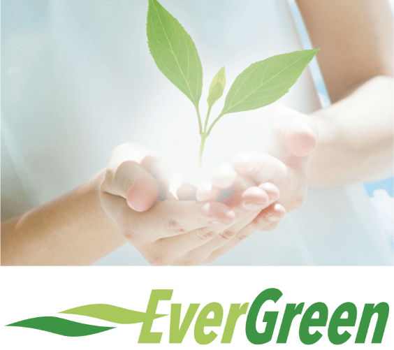 Ever green